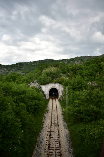 istock Entrance in the old railway tunnel 1495134405