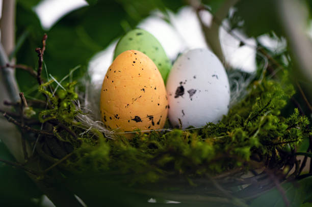 istock bird  nest with colored Easter eggs on branches of green trees, easter decoration, selective focus 1495134669