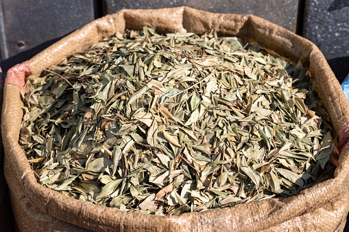 Different fresh medical plants with a cup of tea.