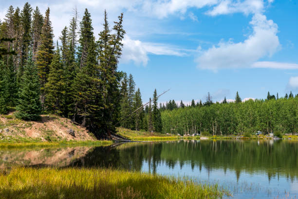 istock Summer on Western Colorado's Grand Mesa 1495141789
