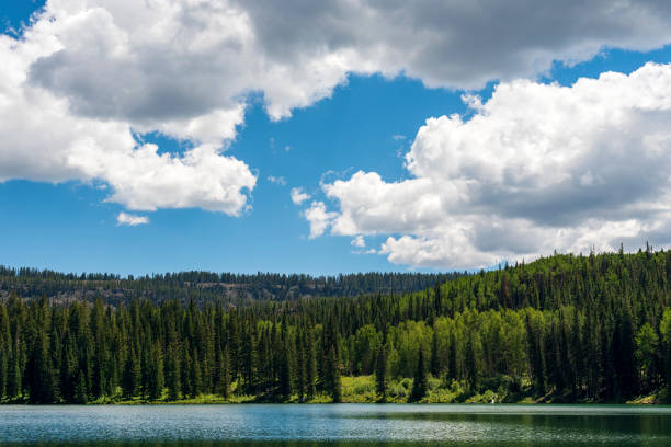 istock Summer on Western Colorado's Grand Mesa 1495141987