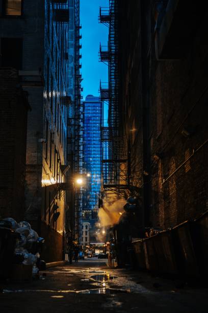 istock a alley way with trash cans and trash can in the middle 1495142727