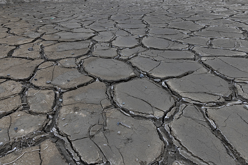 The Dry and Cracked Riverbed in Ladakh, India