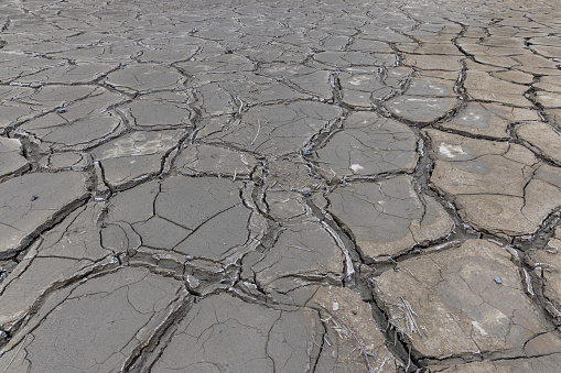 The Dry and Cracked Riverbed in Ladakh, India