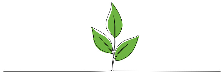 Leaves Continuous Line Drawing Stock Illustration - Download Image Now ...