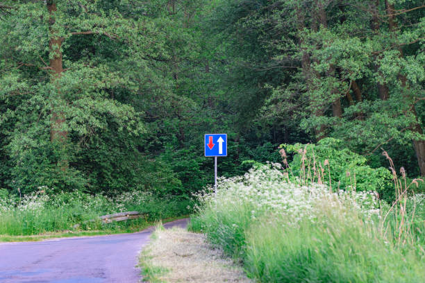 istock An information road sign standing next to a narrow forest road 1495148059