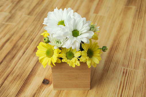 Mini box with chrysanthemums on wooden background.