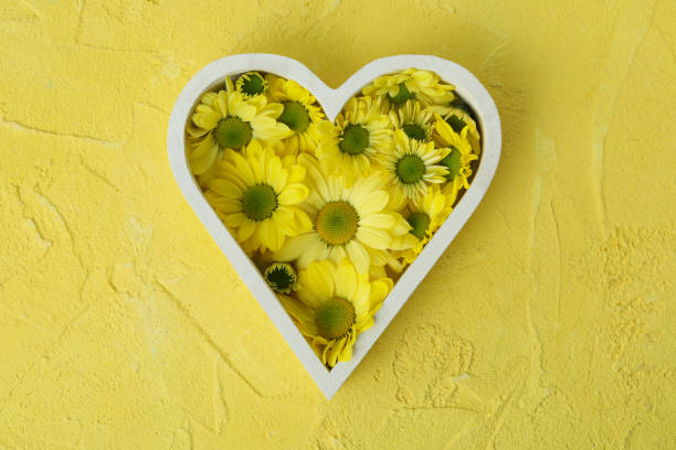 istock Heart with chrysanthemums on yellow textured background 1495150434