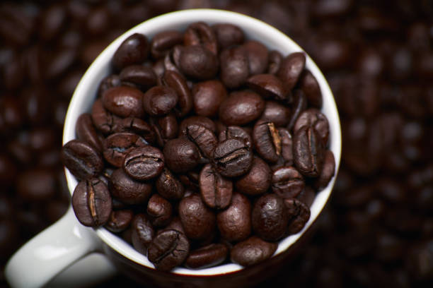 coffee cup with coffee seeds background