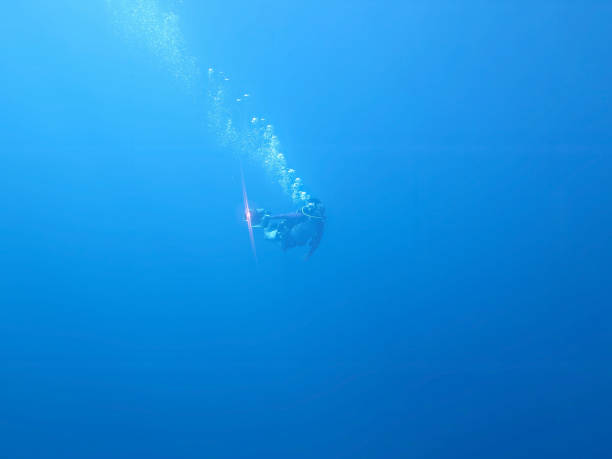 istock Underwater photographer in the deep blue ocean 1495152733