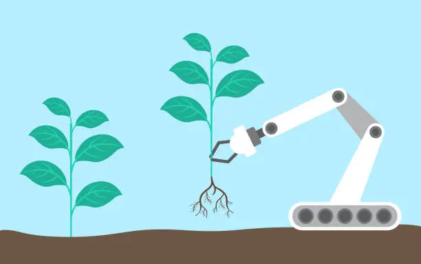 Vector illustration of Smart Farming And Automatic Agricultural Technology With Robot Arm Planting Seedling In The Farm