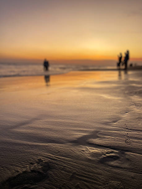 istock sunset at beach, on golden hour 1495158483