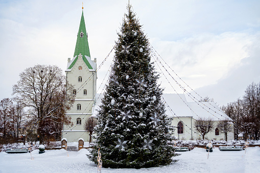 Decorated Christmas tree in a town square with a church in the background, Dobele, Latvia