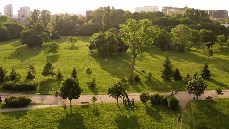 People having evening walk in local park