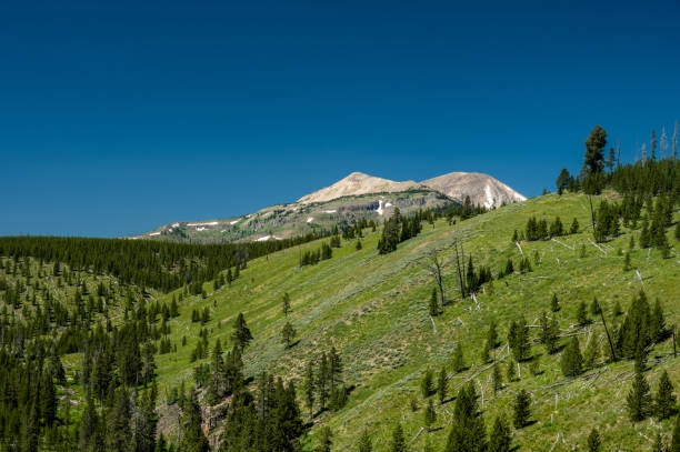 istock Rolling Green Hills Lead Up To Mt Holmes 1495168940