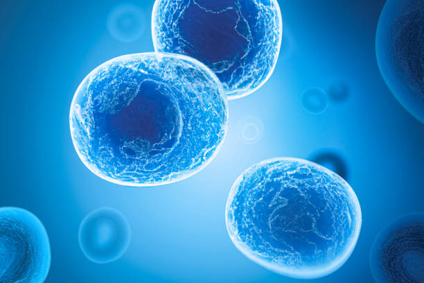 istock 3D illustration of stem cells. 1495172749