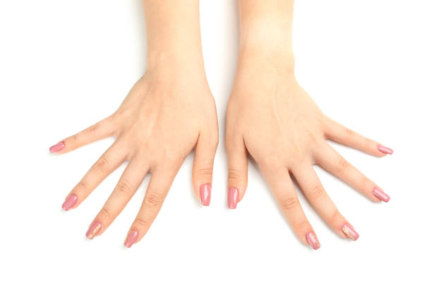 istock Beautiful female hands isolated on white background 1495173158