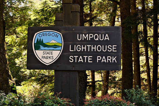 Signpost in the forest for Umpqua Lighthouse State Park