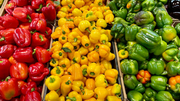 istock Red, Yellow and Green brightly colored bell peppers 1495176392