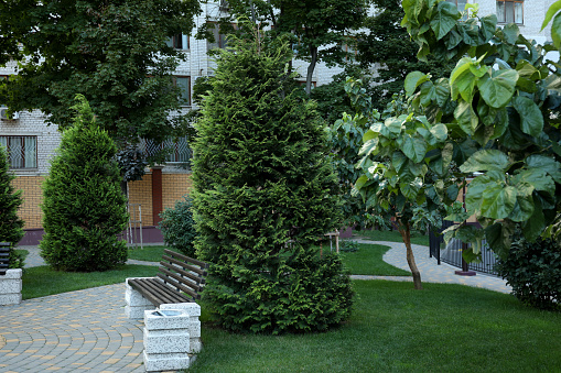 Beautiful walking area in courtyard of a multi-storey building.