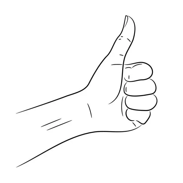 Vector illustration of Woman hand with the thumb up - everything is fine, from contour black brush lines different thickness on white background. Vector illustration.