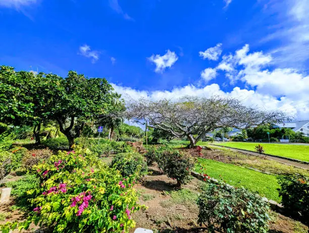 Photo of Exploring the Rich History of Queen Kapiolani Garden and Park on Oahu