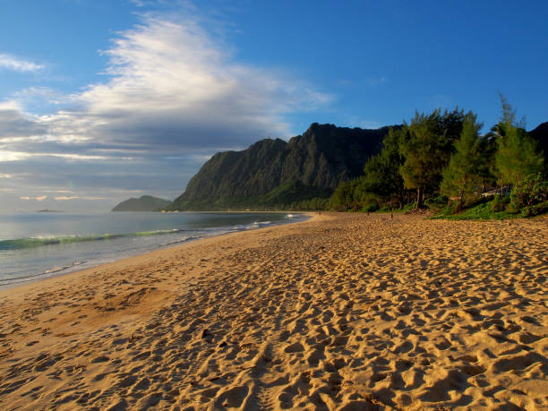 istock A sandy beach with a mountain in the background 1495179488
