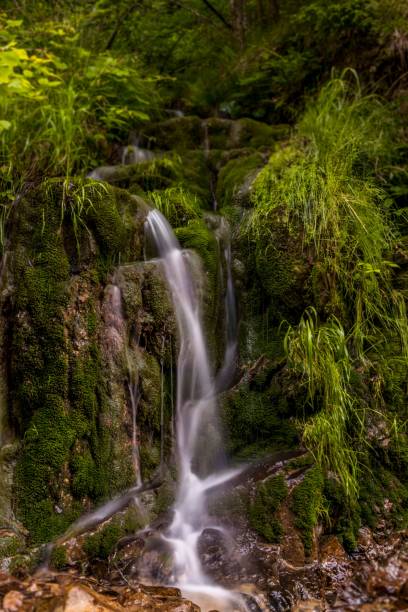 istock Small waterfall cascading down into a tranquil forest-like habitat 1495180041