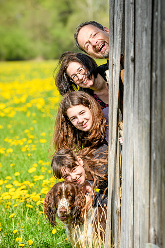 Happy family with dog (English Springer Spaniel) looking around the corner of an old wooden wall