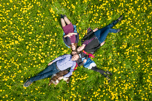 Top view of a happy family with dog lying in a blooming meadow