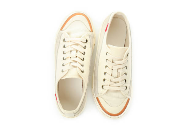 istock Pair of beige sneakers isolated on white background 1495182777