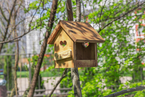 A wooden bird feeder on a background of young green leaves. Beautiful nature wallpaper, outdoor style concept