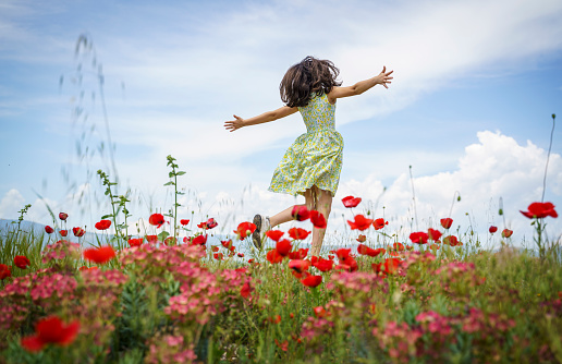 Cute little girl in a colorful dress jumping on a field of flowers in the summer