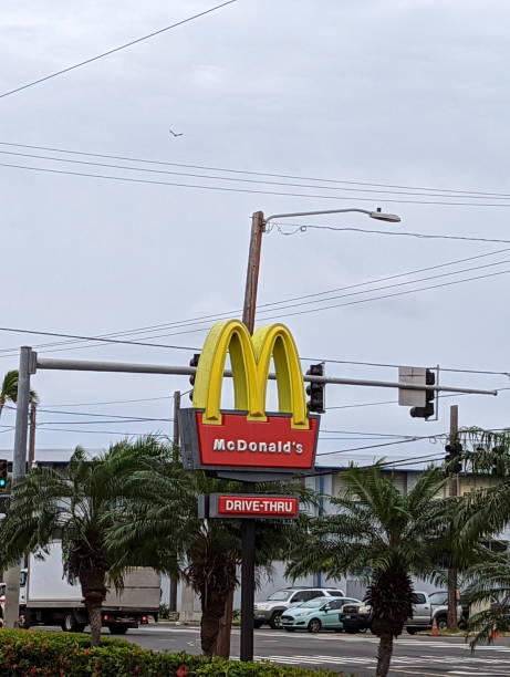 panneau de service au volant mcdonald’s avec des palmiers au premier plan - mcdonalds french fries branding sign photos et images de collection