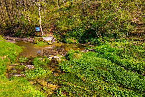 Bedkowka creek source in Bedkowska Valley nature park and reserve within Jura Krakowsko-Czestochowska Jurassic upland near Cracow in Lesser Poland