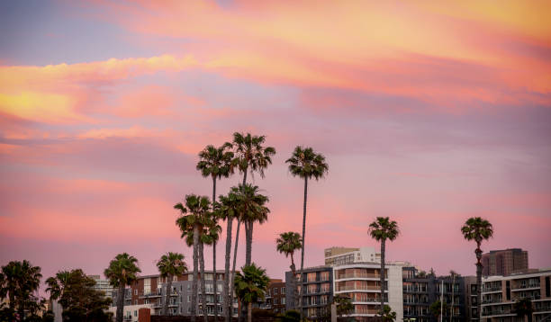 istock Sunset in San Diego 1495192480