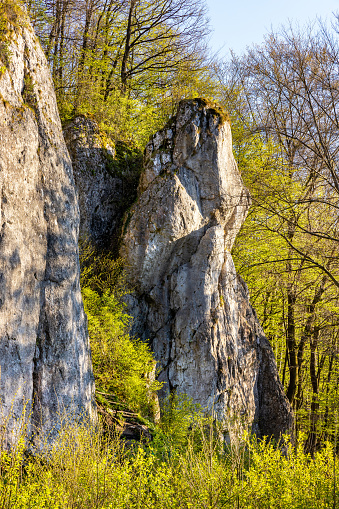 Labajowa and Lipna Sciana limestone rock and climbing wall in Bedkowska Valley within Jura Krakowsko-Czestochowska upland near Cracow in Lesser Poland