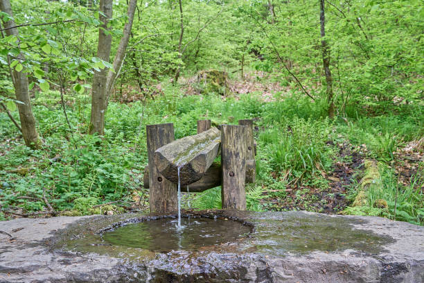 istock Siegquelle, the source of river Sieg in the Rothaargebierge. 1495195462