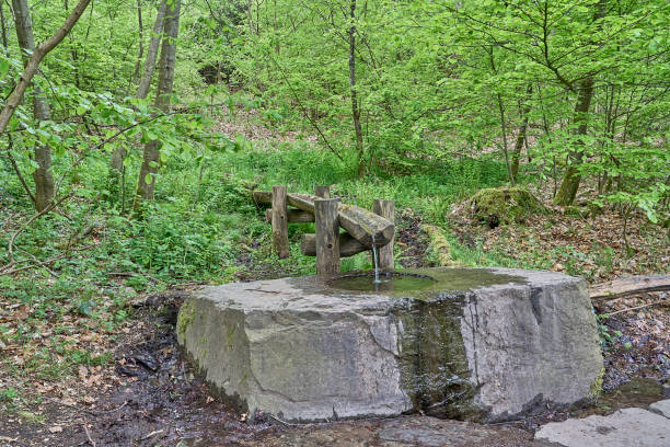 istock Siegquelle, the source of river Sieg in the Rothaargebierge. 1495195472