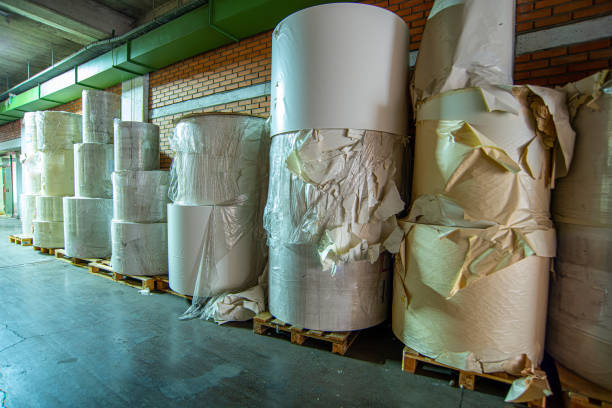 istock Paper rolls in printing factory ready for printing 1495198108