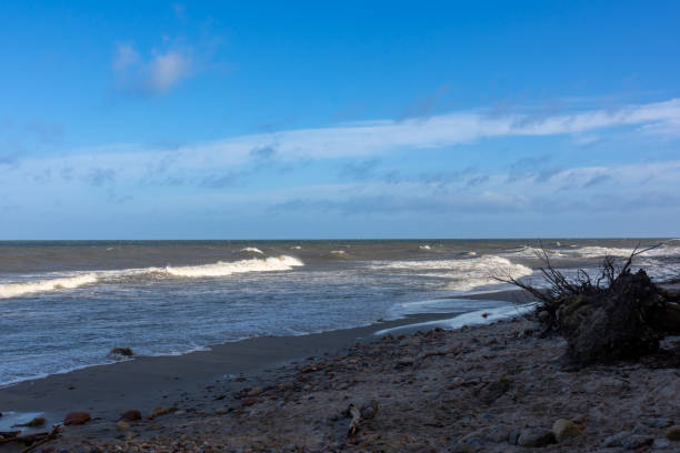 istock beach, waves and sea - Baltic coastline with clouds on sunny day 1495201474