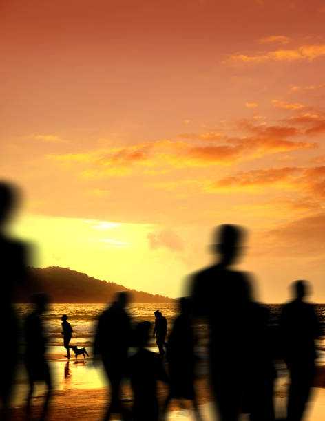 istock Silhouetted people relaxing on tropical beach during sunset 1495202465