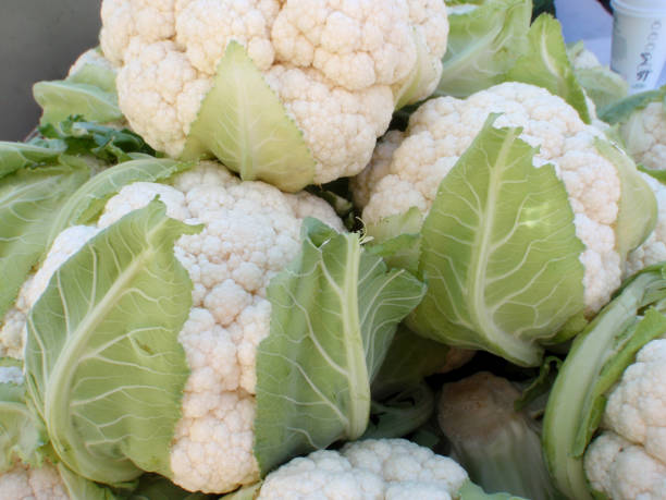 istock fresh bunch of cauliflower on a metal table 1495202812