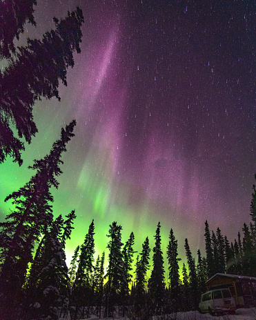 Aurora Borealis seen in northern Canada during winter with a snow capped mountain and boreal forest trees in view.