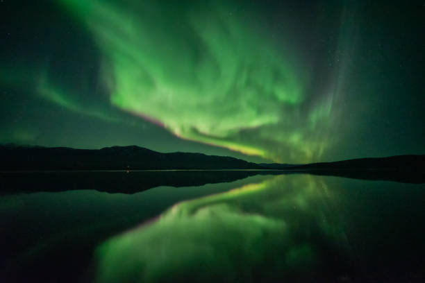 istock Aurora Borealis seen in northern Canada, Yukon Territory, northern lights 1495204600