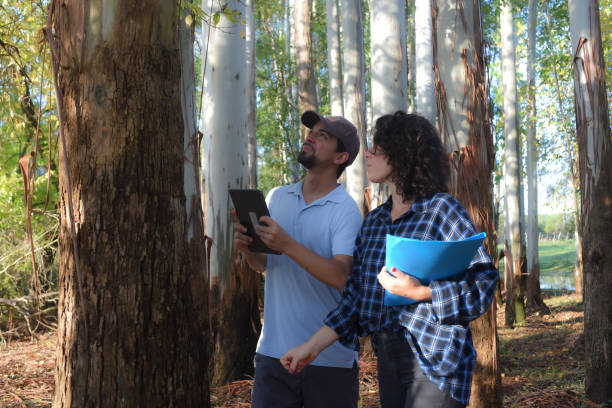 istock couple in the forest taking data with digital tablet 1495204750