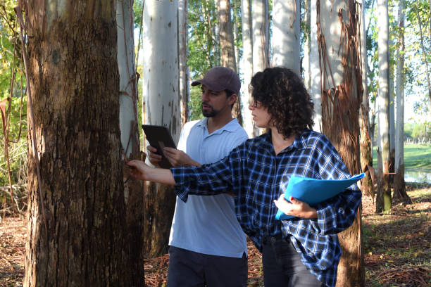 istock couple in the forest taking data with digital tablet 1495204771