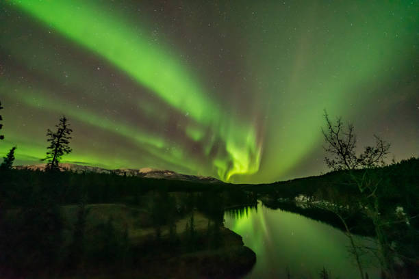 istock Aurora Borealis seen in northern Canada, Yukon Territory, northern lights 1495204797