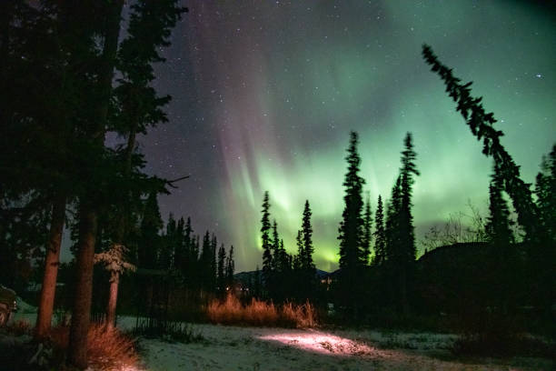 istock Aurora Borealis seen in northern Canada, Yukon Territory, northern lights 1495206026