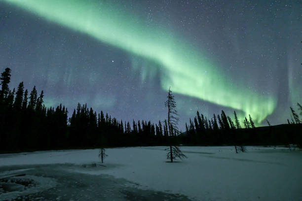 istock Aurora Borealis seen in northern Canada, Yukon Territory, northern lights 1495206190